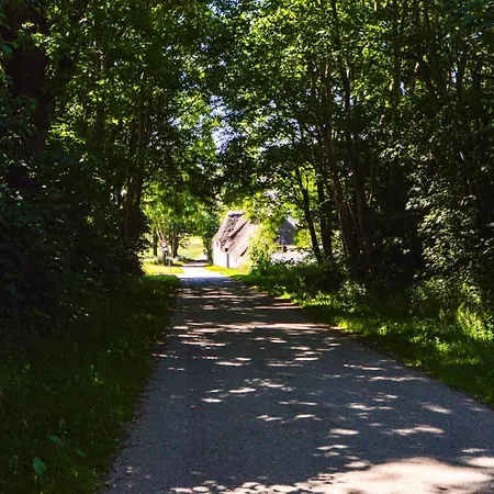 Tatil Evi Drosselgarden *